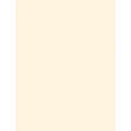 Serviette de table Beige/Ivoire 50x50cm Polycoton (C62)