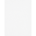 Serviette de table Blanche 55x55cm 100% coton