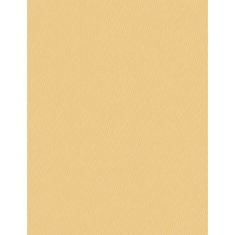 Serviette de table Ivoire (H4)