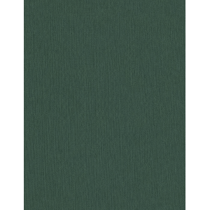 Serviette de table Vert Sapin 50x50cm Polycoton Coin Capuchon (C56)