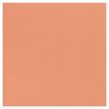 50 Serviettes Ouate ABRICOT 38x38cm